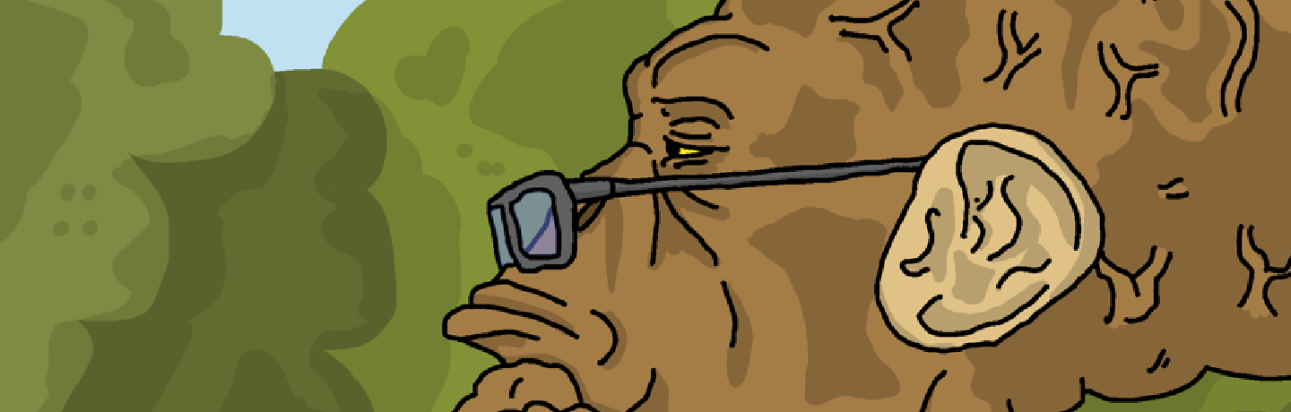 SOLANO MEMES banner